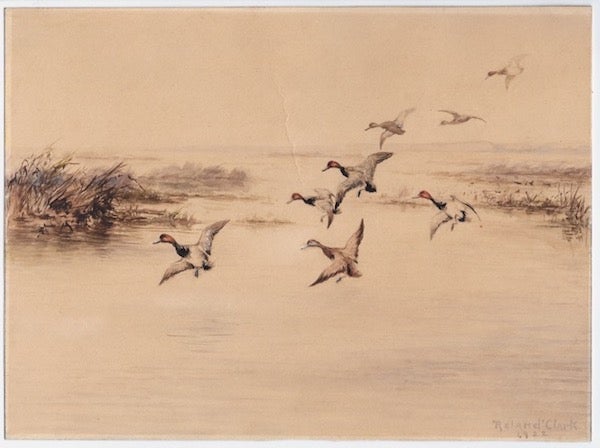 Item #59446 Eight redheads descending into a lakeside marsh, a watercolor picturing the ducks with wings extended, ready for a landing, the ducks in the foreground with more coloring than those farther away, the colors of the marsh and water somewhat muted, signed in the lower right corner "Roland Clark / 1922." Roland Clark.