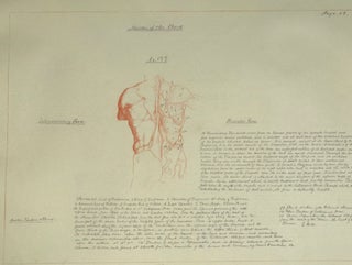 Item #64450 ARTIST'S ANATOMICAL DRAWING BOOK, ILLUSTRATED WITH NEARLY 400 ORIGINAL SKETCHES, AND...