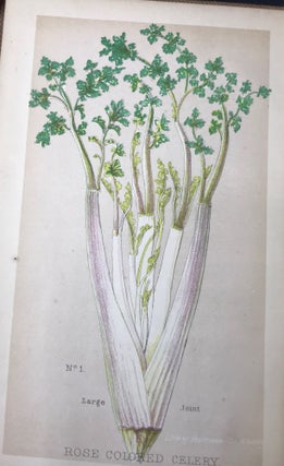 HOW TO CULTIVATE AND PRESERVE CELERY. Roessle's Gardner's Hand-Books. No.1. [All?]; Edited, with a preface, by Henry S. Olcott.