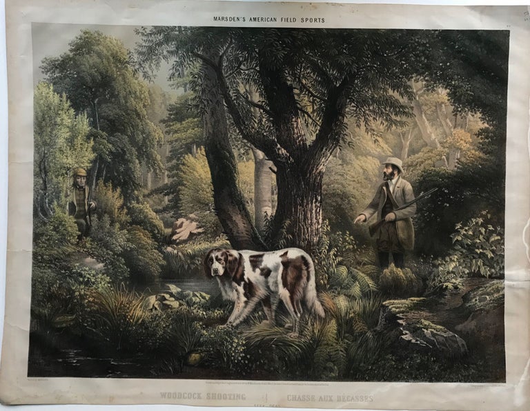 Item #65514 MARSDEN'S AMERICAN FIELD SPORTS. No. 4. Woodcock Shooting - Chasse Aux Becasses - Seek Dead [caption title]. Theodore Marsden.