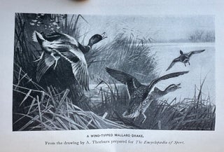 THE WILDFOWLERS; or, Sporting Scenes and Characters of the Great Lagoon; With Many Practical Hints Concerning Shot-Guns, Ammunition, and the Natural History of Wild-Fowl and the Chivalric Sportsman’s Best Method of Taking the Game. Illustrated