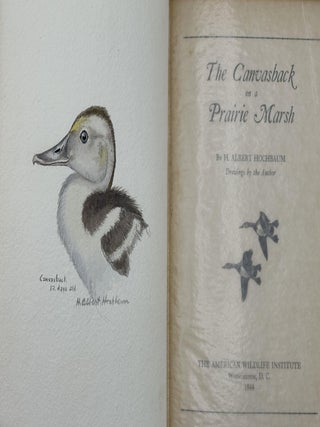 THE CANVASBACK ON A PRAIRE MARSH; Drawings by the author. H. Albert HOCHBAUM.