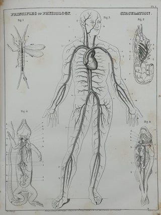 PRINCIPLES OF PHYSIOLOGY; Designed for the Use of Schools, Academies, Colleges, and the General Reader. Comprising a Familiar Explanation of the Structure and Functions of the Organs of Man ... also, an Essay on the Preservation of Health; With Fourteen quarto plates, and over 80 engravings on wood...