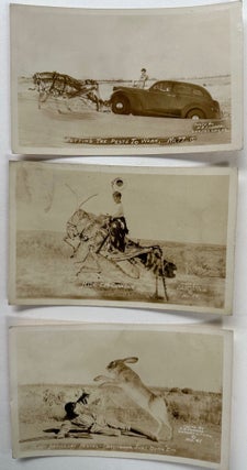 Item #68138 Humorous photo post cards involving grasshoppers and an outsized rabbit. Photo Postcards