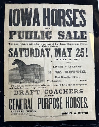 Item #68163 IOWA HORSES / AT / PUBLIC SALE. / The undersigned will offer a carload of fine Iowa...