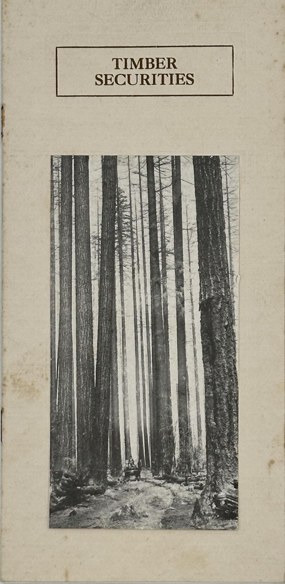 TIMBER SECURITIES. cover title ; Oregon Coast Timber Company caption title