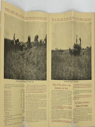 RICE LANDS IN ARKANSAS AND LOUISIANA [cover title]